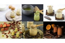素材にこだわった濃厚な味わい 「苗場プリン」（おまかせ6個アソート）【地場産品】