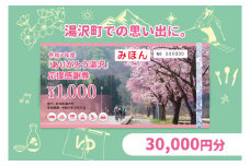 「ありがとう湯沢」応援感謝券【30,000円分】