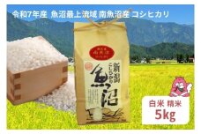 令和7年産 5kg〈白米〉 魚沼最上流域 南魚沼産 コシヒカリ 精米したてのお米をお届け 【湯沢産 コシヒカリ】