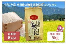 令和7年産 5kg 【6か月定期便】〈白米〉 魚沼最上流域 南魚沼産 コシヒカリ 精米したてのお米をお届け 【湯沢産 コシヒカリ】