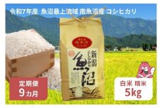 令和7年産 5kg 【9か月定期便】〈白米〉魚沼最上流域 南魚沼産 コシヒカリ 精米したてのお米をお届け 【湯沢産 コシヒカリ】