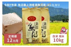 令和7年産 10kg 【12か月定期便】〈白米〉（5kg×2袋）魚沼最上流域 南魚沼産 コシヒカリ 精米したてのお米をお届け 【湯沢産 コシヒカリ】