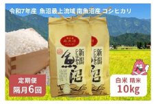 令和7年産 10kg 【隔月6回定期便】〈白米〉 精米したてのお米を2か月に1回お届け 魚沼最上流域 南魚沼産 コシヒカリ【湯沢産 コシヒカリ】