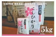 令和7年産 白米5㎏ 農家直送！越後湯沢発 さくらファーム 南魚沼最上流域【湯沢産コシヒカリ】