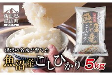 令和7年産 新潟県 湯沢町産 コシヒカリ お米 5kg 精米 魚沼 米 こしひかり 送料無料 炊き方ガイド付き【湯沢産コシヒカリ】