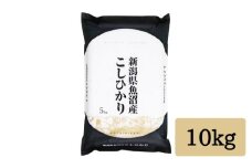 令和7年産 「雪蔵仕込み」 白米 10kg 【湯沢産コシヒカリ】