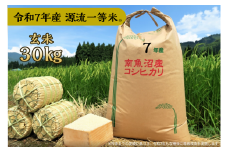 【令和7年産】玄米 30㎏ 源流一等米 南魚沼産コシヒカリ 産地直送 中屋ふぁーむ【湯沢産コシヒカリ】