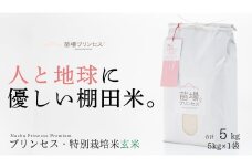 【2025年産新米】【農薬化学肥料5割減】魚沼産コシヒカリ 苗場プリンセス 特別栽培米 玄米 5kg（5kg×1袋）
