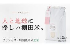 【2025年産新米】【農薬化学肥料5割減】魚沼産コシヒカリ 苗場プリンセス 特別栽培米 玄米 10kg（5kg×2袋）