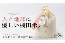【2025年産新米】【農薬化学肥料5割減】魚沼産コシヒカリ 苗場プリンセス 特別栽培米 精米 5kg（5kg×1袋）コットン袋入り