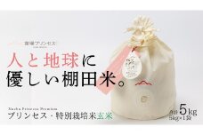 【2025年産新米】【農薬化学肥料5割減】魚沼産コシヒカリ 苗場プリンセス 特別栽培米 玄米 5kg（5kg×1袋） コットン袋入り
