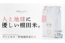 【2025年産新米】【6ヶ月定期便】【農薬化学肥料5割減】魚沼コシヒカリ 苗場プリンセス 特別栽培米 精米 2kg （2kg×1袋） 計12kg