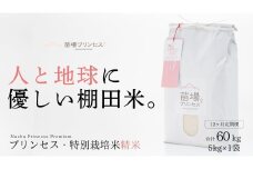 【2025年産新米】【12ヶ月定期便】【農薬化学肥料5割減】魚沼コシヒカリ 苗場プリンセス 特別栽培米 精米 5kg （5kg×1袋） 計60kg