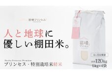 【2025年産新米】【6ヶ月定期便】【農薬化学肥料5割減】魚沼コシヒカリ 苗場プリンセス 特別栽培米 精米 20kg(5kg×4袋)×6回 計120kg