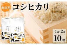 【令和6年米】【厳選こだわり】炊き上がりの艶と上品な甘さが絶品！魚沼産コシヒカリ「原材料名、津南町」精米10kg(5kg×2) 節減対象農薬:当地比5割減【東京米スターセレクション 金賞受賞】