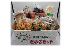【津南町森林組合】きのこセット（8種 約1600g）