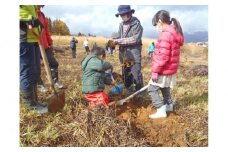 【津南町森林組合】まる1日津南体験（広葉樹植栽体験と秋野菜収穫体験）1名様