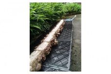 【津南町森林組合】きくらげ菌床2個 出荷可能期間7月1日～7月31日