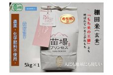 魚沼産こがねもち 玄米5kg 有機JAS認証米（転換期間中）
