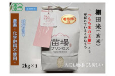 魚沼産こがねもち 玄米2kg 有機JAS認証米（転換期間中）