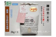 魚沼産こがねもち 玄米2kg 有機JAS認証米（転換期間中）