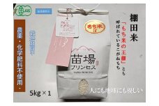 魚沼産こがねもち 精米5kg 有機JAS認証米（転換期間中）