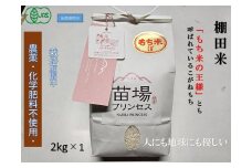 魚沼産こがねもち 精米2kg 有機JAS認証米（転換期間中）