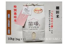 魚沼産こがねもち 精米10kg（5kg×2）特別栽培米 農薬化学肥料5割減