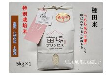 魚沼産こがねもち 精米5kg 特別栽培米 農薬化学肥料5割減