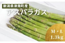 津南産アスパラガス M・Lサイズ 1.3kg サイズおまかせ 新潟県 津南町