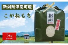 津南産 こがね餅米 3kg×1袋 新潟県 津南町