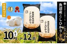 【12ヶ月定期便】令和7年産新米 魚沼産コシヒカリ「金印」高食味米 10kg×全12回