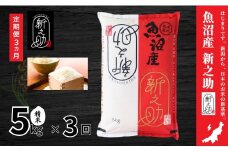 【3ヶ月定期便】令和7年産新米 中魚沼産「新之助(しんのすけ)」5kg×全3回