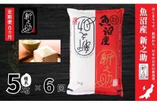 【6ヶ月定期便】令和7年産新米 中魚沼産「新之助(しんのすけ)」5kg×全6回