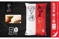 令和7年産新米 中魚沼産「新之助(しんのすけ)」5kg