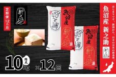 【12ヶ月定期便】令和7年産新米 中魚沼産「新之助(しんのすけ)」10kg×全12回