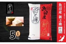 令和7年産新米 玄米 中魚沼産「新之助(しんのすけ)」5kg