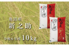 令和7年産新米 中魚沼産「新之助(しんのすけ)」10kg