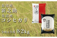 令和7年産新米 中魚沼産「新之助」2kg ＋ 魚沼産コシヒカリ「金印」2kg 食べ比べセット