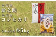 令和7年産新米 中魚沼産「新之助」5kg ＋ 魚沼産コシヒカリ「金印」5kg 食べ比べセット