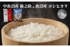 令和7年産新米 中魚沼産「新之助」5kg ＋ 魚沼産コシヒカリ「金印」5kg 食べ比べセット
