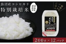 令和7年産新米 パックご飯 魚沼産コシヒカリ「特別栽培米」200g×12袋 パックライス