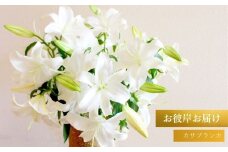 カサブランカ 8本セット（2025年秋彼岸お届け）