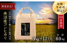 【令和7年産新米】【12ヶ月定期便】魚沼産コシヒカリ 九左衛門の米 5kg（5kg×1袋）