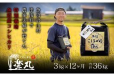 【令和7年産新米】【農家直送】豪雪地・津南町の米農家夫婦が育てた特別栽培魚沼コシヒカリ 3kg×12回（計36kg）
