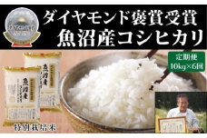 【令和7年産新米】【6ヶ月定期便】最高級 魚沼産 こしひかり 10kg（5kg×2袋）ダイヤモンド褒賞受賞 特別栽培米 新潟県 津南町 コシヒカリ コメ 米 お米