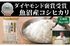 【令和7年産新米】【6ヶ月定期便】最高級魚沼産こしひかり【ダイヤモンド褒賞受賞 特別栽培米】 5kg（5kg×1）×全6回