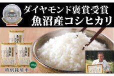 【令和7年産新米】最高級魚沼産こしひかり【ダイヤモンド褒賞受賞 特別栽培米】15Kg（5kg×3）