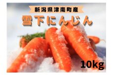 【令和8年発送分 先行予約】【季節限定】雪国ならではの逸品！津南町の雪下にんじん（10kg）
