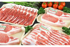 つなんポーク 精肉セット A（ロース切身130g×4枚・肩ロース500g・腹肉スライス500g）
